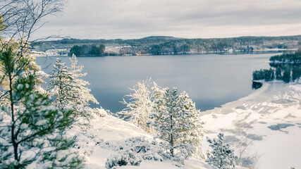 a winter landscape where a beautiful lake stretches across the scene. The center of the lake is still open water, reflecting the gray winter sky and the snow-covered trees that line its edges. On one 