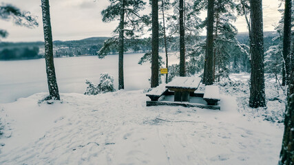 a winter landscape where a beautiful lake stretches across the scene. The center of the lake is still open water, reflecting the gray winter sky and the snow-covered trees that line its edges. On one 