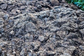 fertilizer, organic, natural, fertilizing, dung, cake, agriculture, soil, cow dung, cow, garden, nature, concept, plant, growth, gardening, ecology, fertility, green, care, environment, background.