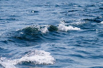 波しぶき（日本・太平洋・関西）