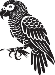 Black Color African Grey Parrot Silhouette Vector Illustration, Solid White Background. minimal vector design © blackworld