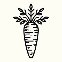 Carrot Line Art Illustration