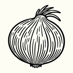 Onion Line Art Illustration