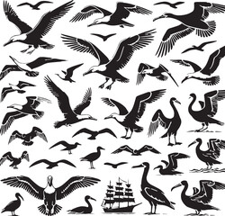 Black Color Albatross Silhouette Vector Illustration, Solid White Background. minimal vector design