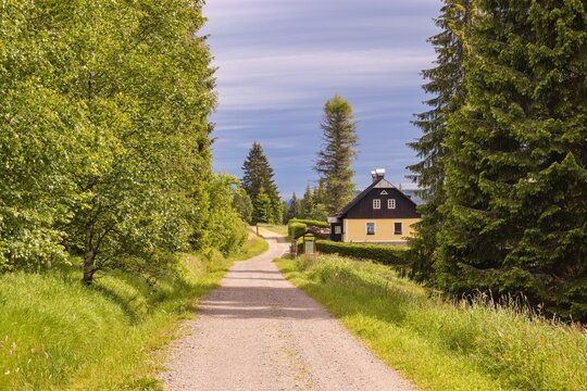 A rural house along the road between the trees at Modrava, Czech republic