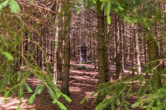 A small old chapel as part of way of the cross in forest near Volary, Czech republic