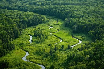 Aerial view of a serene river meandering through a lush green forest nature landscape photography calm environment high altitude perspective