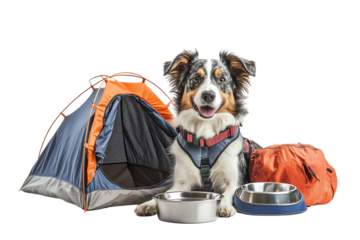 A happy dog in a camping setting, featuring a tent, food bowls, and camping gear, showcasing the joy of outdoor adventures with pets.