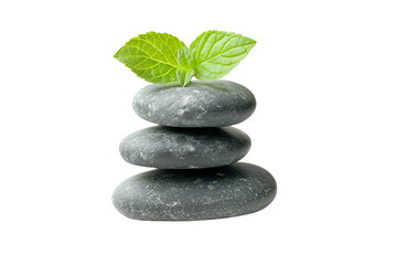 Fototapeta premium A serene composition of three stacked stones with a vibrant green leaf on top, symbolizing tranquility, relaxation, and balance in wellness practices.