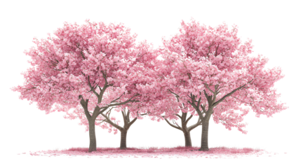 A serene scene featuring blooming cherry blossom trees, showcasing delicate pink flowers against a tranquil backdrop, perfect for nature enthusiasts.