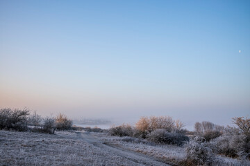 winter landscape with snow