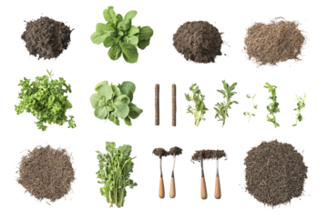 An organized collection of various herbs and greens arranged with gardening tools, showcasing the beauty of nature and gardening essentials.