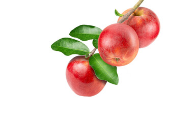 red apple with leaves isolated on white	