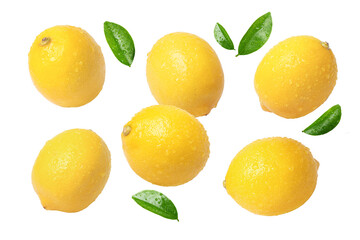 Collection of yellow lemon with water drops isolated on white