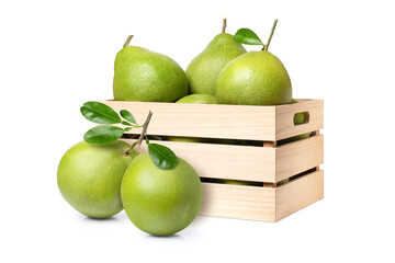 Pomelo isolated. Grapefruit isolated