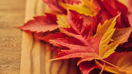 Obraz premium Colorful autumn leaves with wooden background as copy space