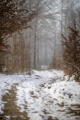 Verschneiter Weg im Wald mit Eis Schnee und Nebel