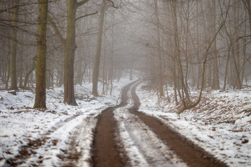 Waldweg im kalten und frostigen Winter bei Nebel