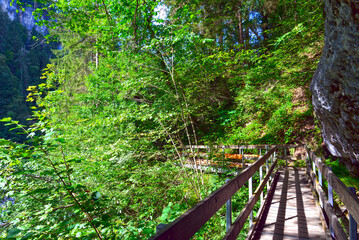 Wanderweg in der B&uuml;rser Schlucht in B&uuml;rs, B&uuml;rserberg und Brand im Bezirk Bludenz in Vorarlberg 
