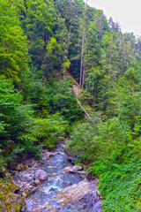 Die Bürser Schlucht in Bürs, Bürserberg und Brand im Bezirk Bludenz in Vorarlberg