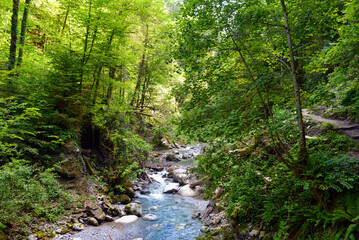 Die Bürser Schlucht in Bürs, Bürserberg und Brand im Bezirk Bludenz in Vorarlberg