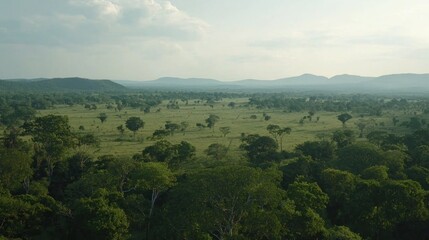 Aerial view Savannah, trees, hills, landscape, Africa,  sunset,  wildlife documentary