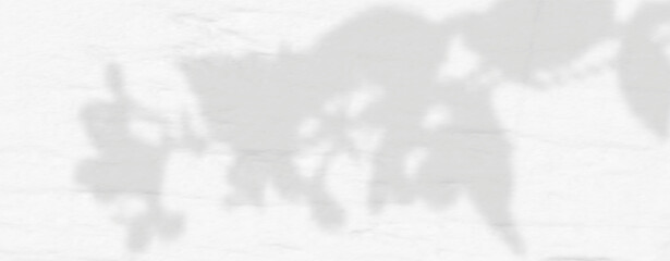Abstract shadow of leaves and branches on white concrete wall.Soft overlay of natural light.Tropical blurred leaf.Natural light layout.