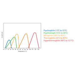 Diagram showing ideal bacterial growth temperature - Psychrophile, psychrotroph, mesophile, thermophile and hyperthermophile