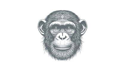 chimpanzee vector  | chimpanzee illustration | chimpanzee silhouette | chimpanzee tattoo | chimpanzee engraving | chimpanzee drawing	