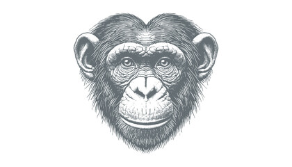 chimpanzee vector  | chimpanzee illustration | chimpanzee silhouette | chimpanzee tattoo | chimpanzee engraving | chimpanzee drawing	