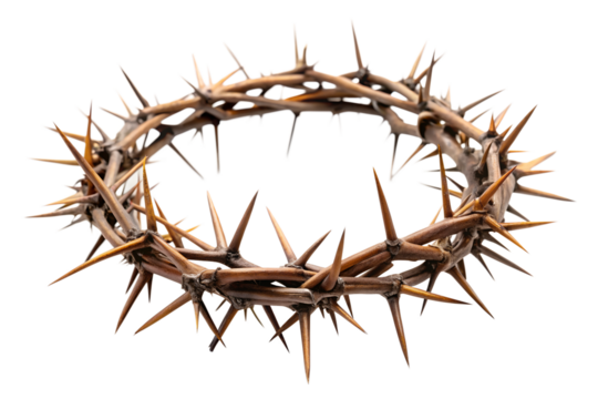 crown of thorns on white