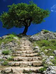 Stone staircase leading to a lone tree on a rocky hill under a blue sky.