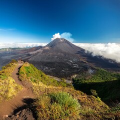 Fototapeta premium Generated image