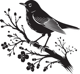 Black Color American Robin Silhouette Vector Illustration, Solid White Background. minimal vector design