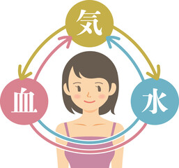 気血水の巡り・女性の上半身のイラスト素材・図表・東洋医学・ヘルスケア