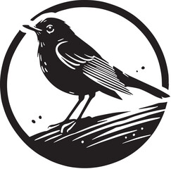 Black Color American Robin Silhouette Vector Illustration, Solid White Background. minimal vector design