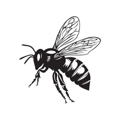 illustration of a bee