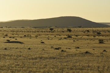 Obraz premium Sonnenuntergang bei Sesriem im Namib Naukluft Nationalpark