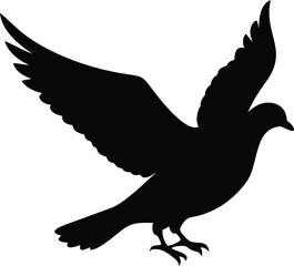 Black Dove Illustration for Peace and Unity
