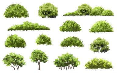 Vector watercolor green  tree or forest side view isolated on white background for landscape and architecture drawing,elements for environment or and garden,Shrub for section