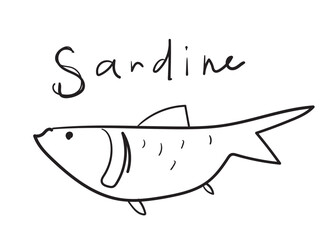Hand drawn pilchard, doodle sardine fishes, sketched fish pictogram, sardines icon, sketchy sea animals