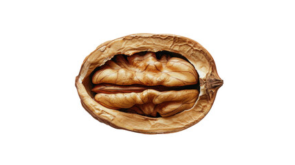 Walnuts on transparent background 