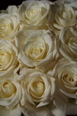 bouquet of roses