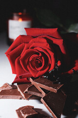 red rose on a wooden background