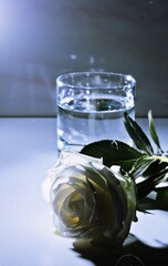 glass of water with flower