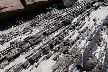 Stokes Bay Beach in Kangaroo Island, near South Australia, is a nature haven known for wildlife like kangaroos, seals, and koalas, plus rugged cliffs, beaches, Flinders Chase National Park, and Seal B