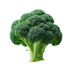 Bright green broccoli, captured in sharp detail against a white background and soft lighting that emphasizes the freshness.