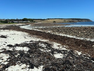 Stokes Bay Beach in Kangaroo Island, near South Australia, is a nature haven known for wildlife like kangaroos, seals, and koalas, plus rugged cliffs, beaches, Flinders Chase National Park, and Seal B