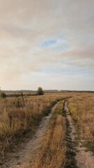 landscape with a road