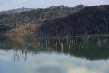 秋のシューパロ湖と立ち枯れの木